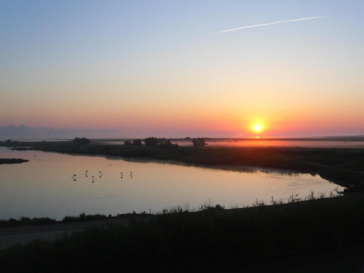 Chambre Les Flamants, Avec Vue Imprenable Sur Les Etangs, Les Oiseaux, La Nature, Petit Dejeuner Compris Saintes-Maries-de-la-Mer Esterno foto